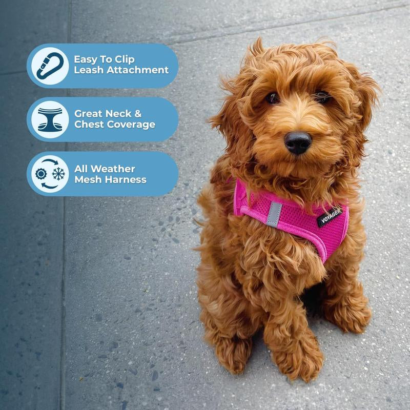Voyager Step-In Air Dog Harness - All Weather Mesh Reflective No Pull for Small Medium Dogs Cats Secure with Hook & Loop Fastener Buckle Double D-Rings Fuchsia S