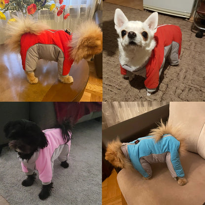 Dog Clothes For Small & Medium Dogs